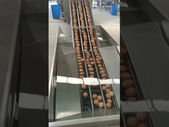 ডিম ভাঙার মেশিন উল্লম্ব প্রকার