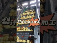 কিভাবে পিরির রস প্রাক-প্রক্রিয়াকরণ করতে হয়