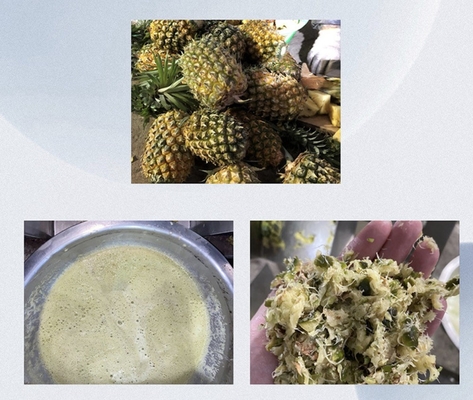 স্ক্রু প্রেসিং ইন্ডাস্ট্রিয়াল কারখানার মাধ্যমে আনারস জুস মেশিন