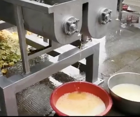 স্ক্রু প্রেসিং ইন্ডাস্ট্রিয়াল কারখানার মাধ্যমে আনারস জুস মেশিন